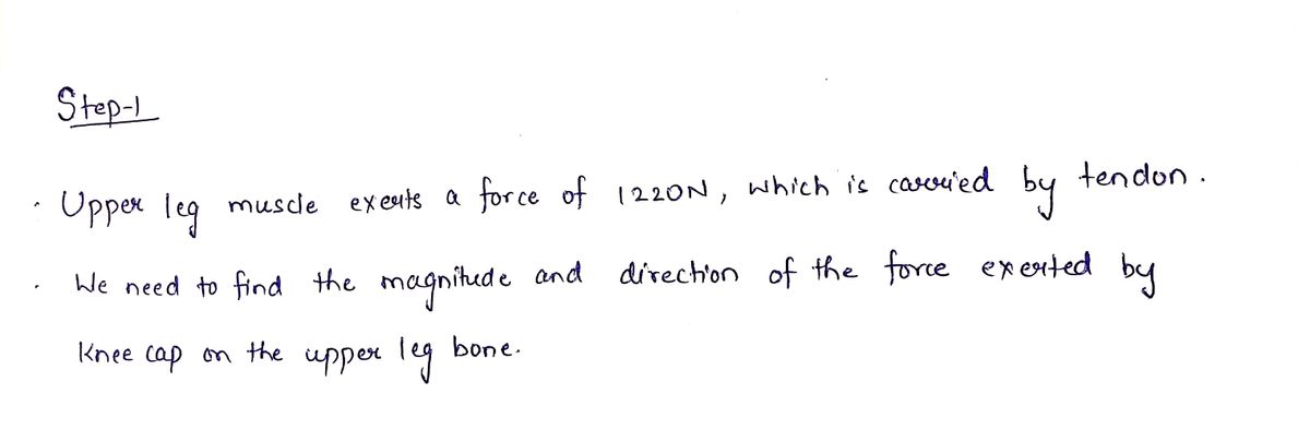 Physics homework question answer, step 1, image 1